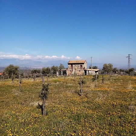 La Giara B&B San Demetrio Corone Eksteriør billede