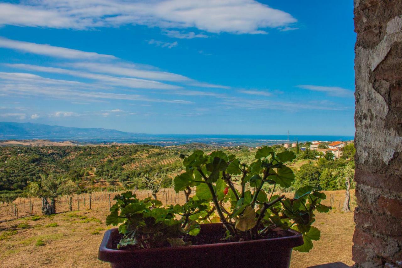 La Giara B&B San Demetrio Corone Eksteriør billede